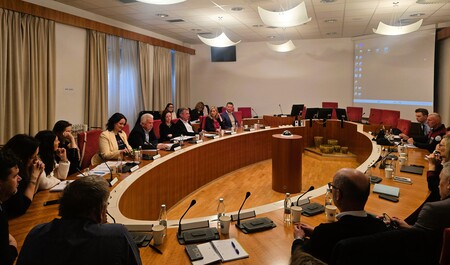 Na varnostnem sosvetu je bilo približno 20 udeležencev.  