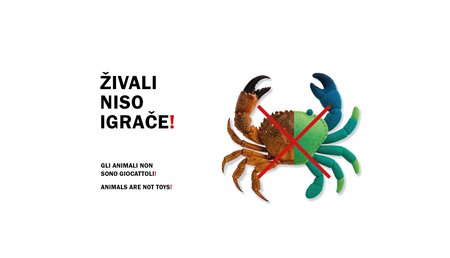 Živali niso igrače, oglas