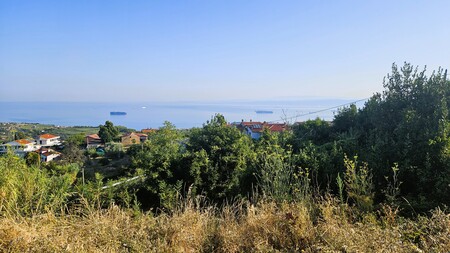 V ospredju fotografije je tretja,1664 kvadratnih metrov velika nezazidana parcela na Šaredu.