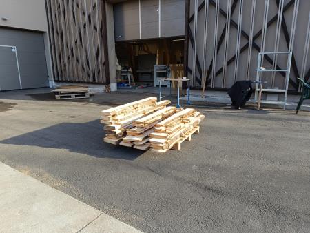 Ponovna uporaba lesa novoletne jelke. Foto: InnoRenew CoE.