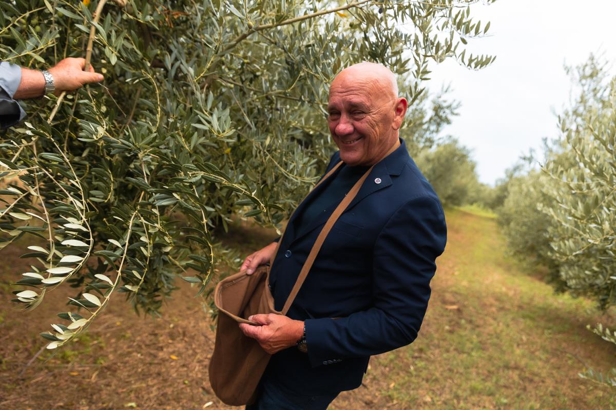 Že tridesetič obrali oljko županov in napovedali sezono obiranja oljk ...