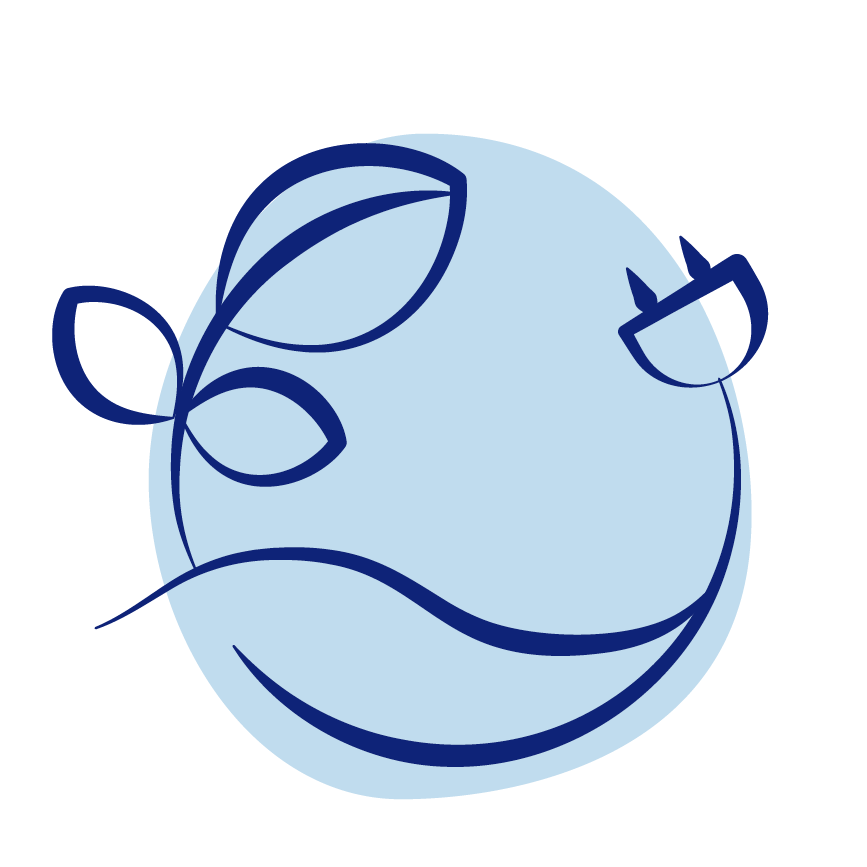 ISKRICE_02_ENERGIJA